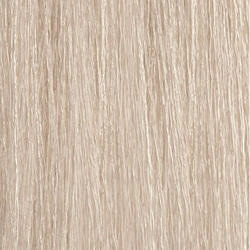 Moroccanoil Color Calypso 10BG Lightest Ash Gold Blonde Demi-Permanent Gloss Color