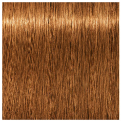 Schwarzkopf Professional 7-67 Igora Zero AMM Ammonia-Free Color Creme