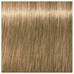 Schwarzkopf Professional 8-0 Igora Zero AMM Ammonia-Free Color Creme