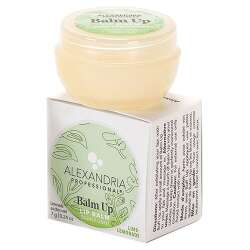 Alexandria Professional Balm Up - Lime Lemonade 7g
