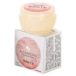 Alexandria Professional Balm Up - Strawberry 7g