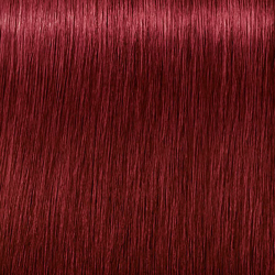 Schwarzkopf Professional 5-88 Igora Zero AMM Ammonia-Free Color Creme