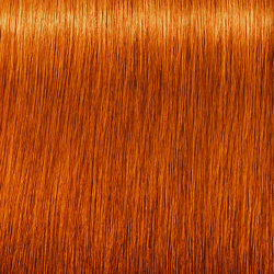 Schwarzkopf Professional 7-77 Igora Zero AMM Ammonia-Free Color Creme