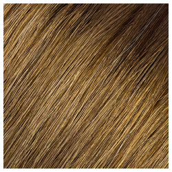 Babe Tape-In Hair Extensions 14in Straight Shauna (2-4/6/27A/12/613)